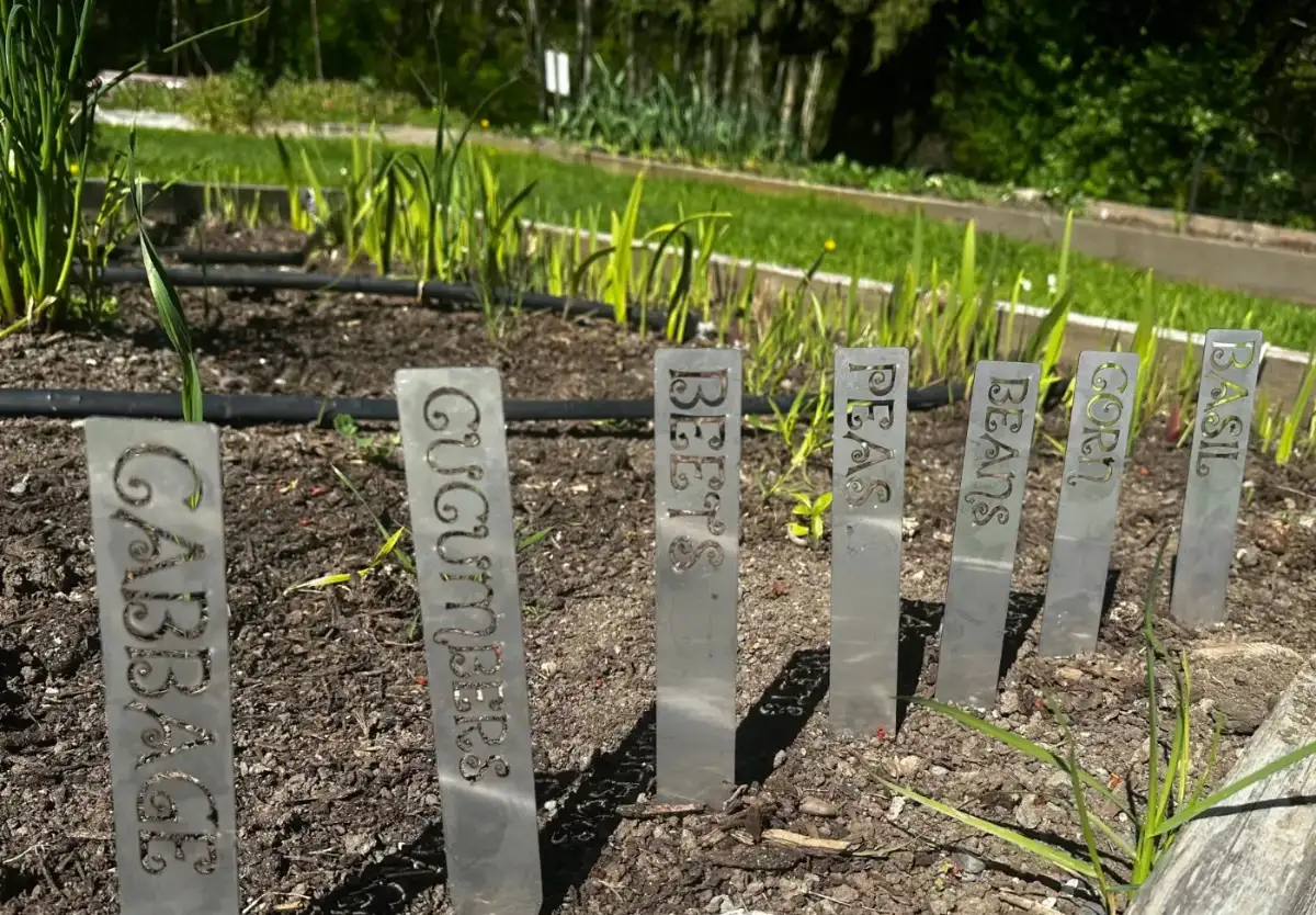 Stainless garden stakes